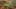 Game screenshot thumbnail 2
