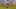 Game screenshot thumbnail 1