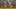 Game screenshot thumbnail 1