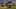 Game screenshot thumbnail 4