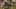 Game screenshot thumbnail 2
