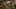 Game screenshot thumbnail 3