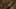 Game screenshot thumbnail 3