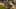 Game screenshot thumbnail 5