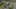 Game screenshot thumbnail 5