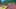 Game screenshot thumbnail 2