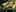 Game screenshot thumbnail 4