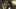Game screenshot thumbnail 1