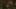Game screenshot thumbnail 5