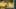 Game screenshot thumbnail 1