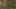 Game screenshot thumbnail 2