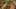 Game screenshot thumbnail 5