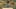 Game screenshot thumbnail 1