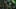Game screenshot thumbnail 2