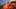 Game screenshot thumbnail 5