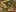 Game screenshot thumbnail 2