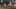 Game screenshot thumbnail 2