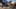 Game screenshot thumbnail 5