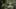 Game screenshot thumbnail 1