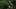 Game screenshot thumbnail 5