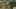 Game screenshot thumbnail 4