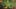 Game screenshot thumbnail 1