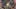 Game screenshot thumbnail 2