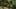 Game screenshot thumbnail 5