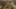 Game screenshot thumbnail 5