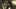 Game screenshot thumbnail 1