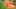 Game screenshot thumbnail 5