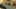 Game screenshot thumbnail 4