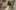 Game screenshot thumbnail 1