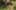 Game screenshot thumbnail 2