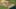 Game screenshot thumbnail 1