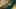 Game screenshot thumbnail 4