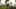 Game screenshot thumbnail 4