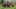 Game screenshot thumbnail 1
