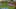 Game screenshot thumbnail 4