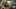 Game screenshot thumbnail 4