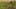 Game screenshot thumbnail 1