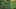 Game screenshot thumbnail 3