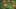 Game screenshot thumbnail 5