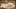 Game screenshot thumbnail 4