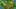 Game screenshot thumbnail 4