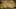Game screenshot thumbnail 4