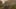 Game screenshot thumbnail 4