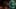 Game screenshot thumbnail 4