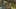 Game screenshot thumbnail 1