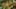 Game screenshot thumbnail 2